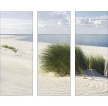 Glasbild Dune 3er-Set 3x 30x80 cm GLA580-thumb-0 Glasbild Dune 3er-Set 3x 30x80 cm GLA580-thumb-0