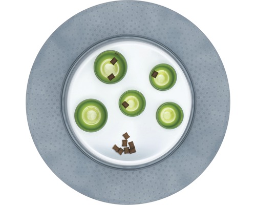 Jeu d''intelligence pour chiens avec nourriture