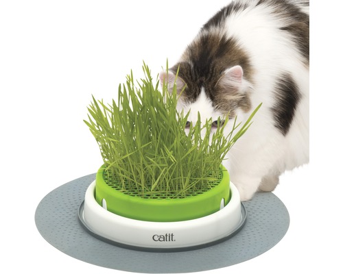 Grastopf cat it Senses 2.0 Grass Planter mit Abdeckgitter