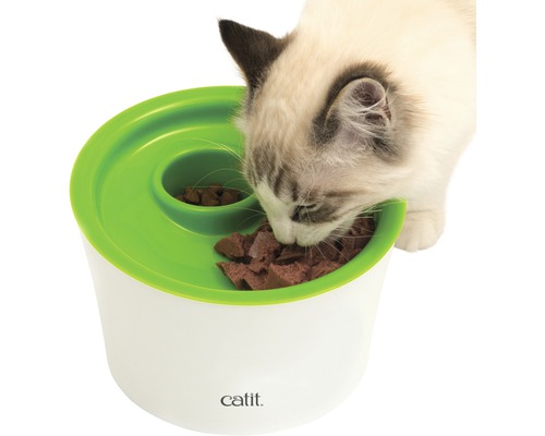 Chat mange dans une gamelle de Catit