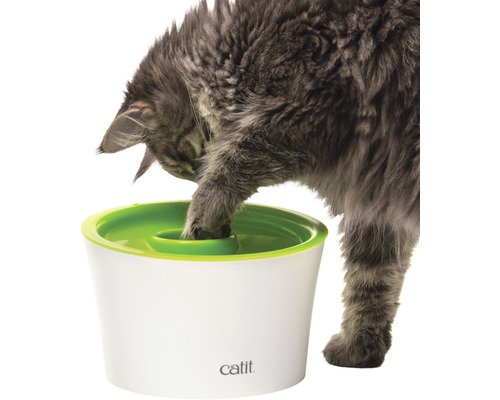 Chat buvant à une fontaine à eau Catit