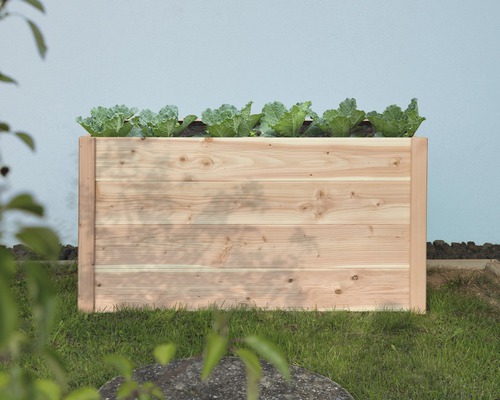 Jardinière surélevée en bois avec des laitues dans le jardin.