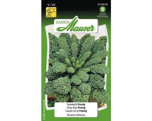 Chou vert Frosty graines de fleurs Samen Mauser Sachet de graines Chou frisé Frosty
