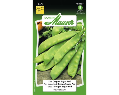 Pois mange-tout Oregon Sugar Pod graines de fleurs Samen Mauser Samen Mauser Pois mangetout Oregon Sugar Pod sachet de graines