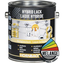 Peinture hybride dans une boîte métallique