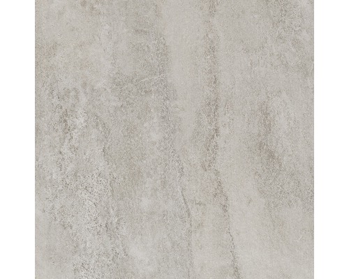 Feinsteinzeug Wand- und Bodenfliese Wandfliese Aspen grigio 60x60 cm