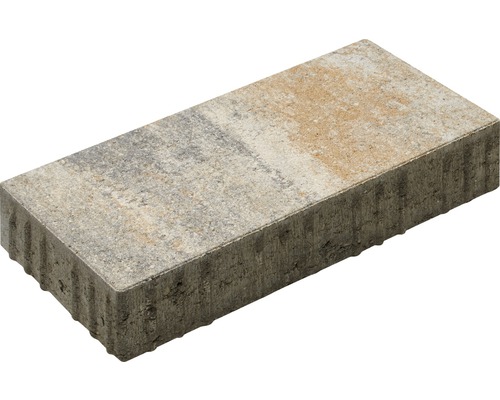 Pavé rectangulaire Crescendo calcaire coquillier 40x20x8 cm