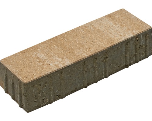 Pavé rectangulaire en béton