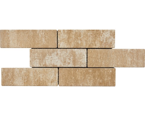 Pavés autobloquants en béton