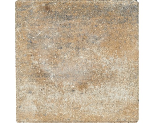 Pavé rectangulaire Crescendo calcaire coquillier 20x20x8 cm