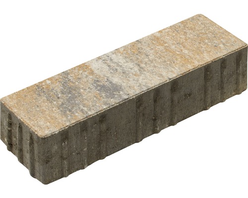 Pavé rectangulaire Crescendo calcaire coquillier 30x10x8 cm