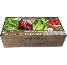 Gemüsegarten-Set mit Rucola, Radieschen, Gurken und Kirschtomaten