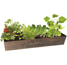 Hochbeet aus Holz mit Tomaten, Radieschen, Gurken und Salat bepflanzt