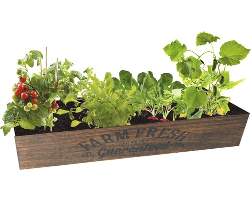 Hochbeet aus Holz mit Tomaten, Radieschen, Gurken und Salat bepflanzt