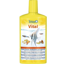 Bouteille d''conditionneur d''eau d''aquarium Tetra Vital