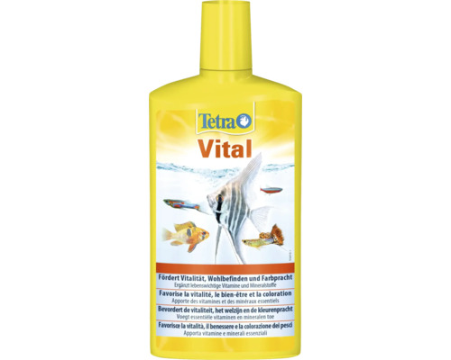 Bouteille d''conditionneur d''eau d''aquarium Tetra Vital