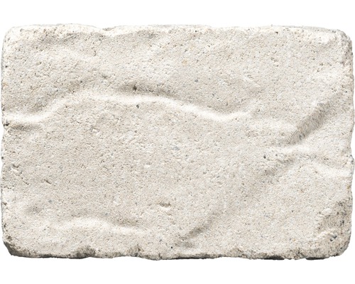 Brique claire avec surface rugueuse