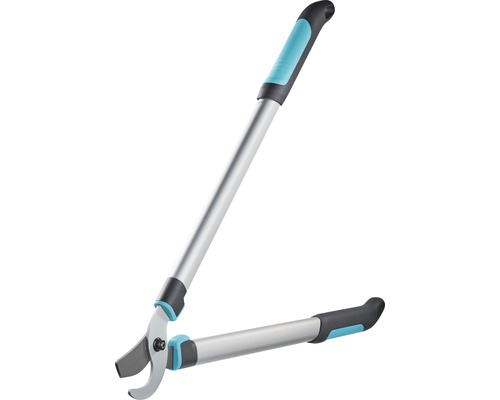 Astschere mit Teleskopstiel für den Baumschnitt