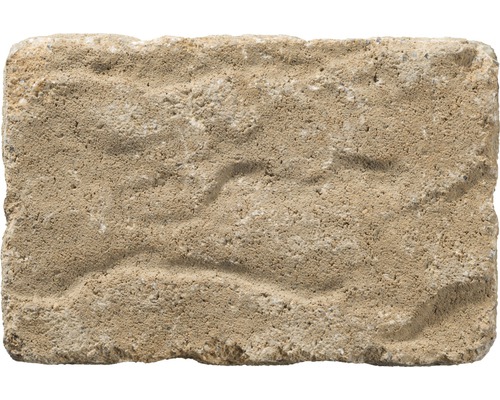 Pavé unique avec surface rugueuse