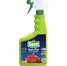 Gesal Anti-Pilz Spray für Zierpflanzen