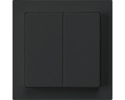 Frontplatte Doppeldruckschalter schwarz