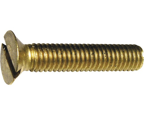 Schlitzschraube aus Metall