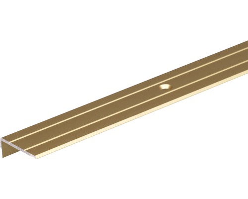 Treppenprofil Aluminium gold 24,5 x 10 1 m Aluminium Treppenkantenprofil mit Schraubloch