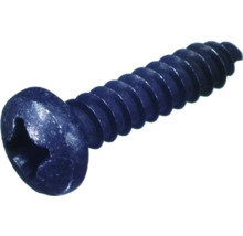 Schraube mit Torx Antrieb