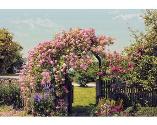 Papier peint panoramique 8-936 Rose Garden 8 pces 368 x 254 cm