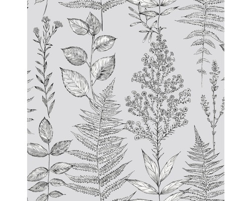 Papier peint intissé mélange botanique gris Papier peint avec motif de plantes et de fougères