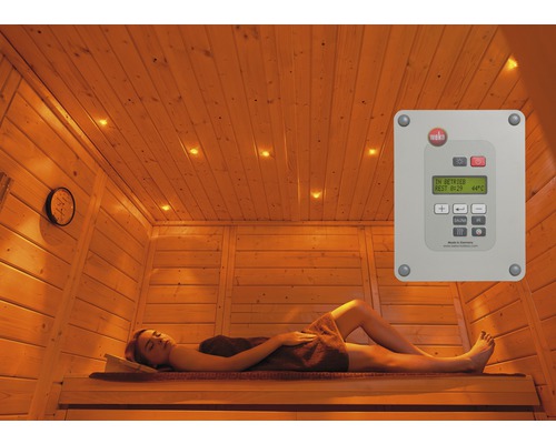 Kit de visions colorées pour sauna B Weka, avec télécommande et module de commande