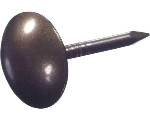 Einzelner bronzefarbener Nagel mit breitem Kopf