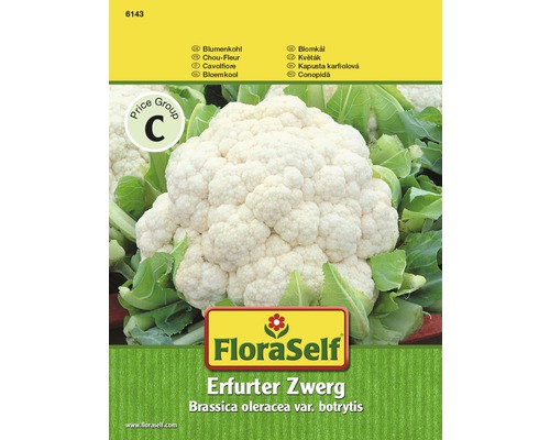 Chou-fleur 'Nain hâtif d'Erfurt' FloraSelf semences stables semences de légumes