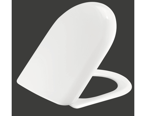 Abattant de WC en plastique