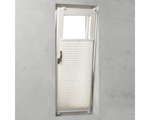 SOLUNA Faltenplissee mit Seitenverspannung ohne Bohren Design Motiv Honey 75x130 cm Plissee-Vorhang am Fenster zur Lichtregulierung und Privatsphäre