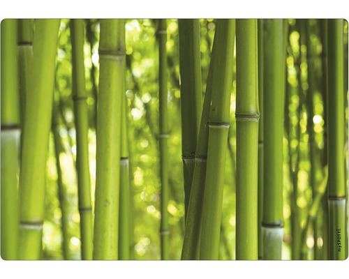 Paroi arrière de cuisine mySPOTTI Bambou 59x41 cm
