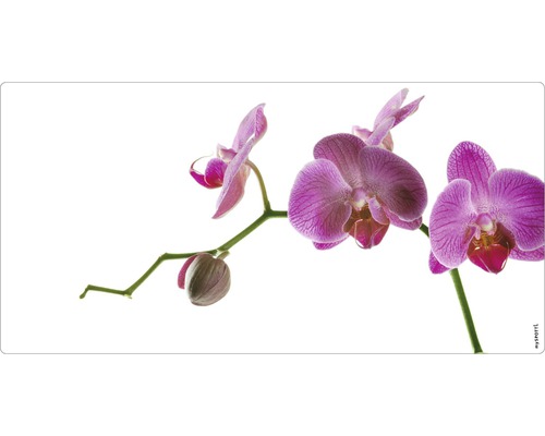Paroi arrière de salle de bains mySPOTTI aqua Orchidée rose 90x45 cm