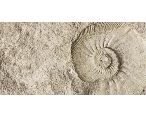 Badrückwand mySPOTTI aqua Fossil 90x45 cm
