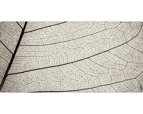 Paroi arrière de salle de bains mySPOTTI aqua Structure 90x45 cm Gros plan sur le squelette d''une feuille
