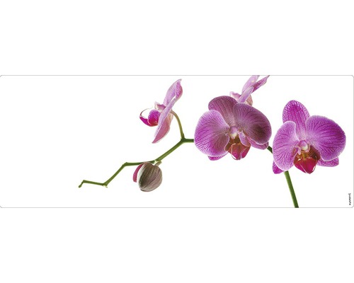 Badrückwand mySPOTTI aqua Orchid pink 120x45 cm