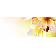 Badrückwand mySPOTTI aqua Hawaii 120x45 cm