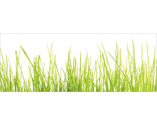 Paroi arrière de salle de bains mySPOTTI aqua herbe 120x45 cm Brins d''herbe