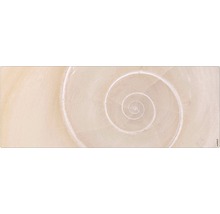 Badrückwand mySPOTTI aqua Schnecke 120x45 cm