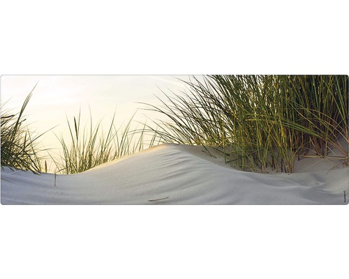 Paroi arrière de salle de bains mySPOTTI aqua Dune 120x45 cm Image murale décorative avec motif de dunes et d''herbe
