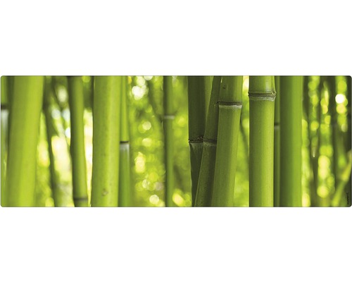 Paroi arrière de salle de bains mySPOTTI aqua Bambou 120x45 cm