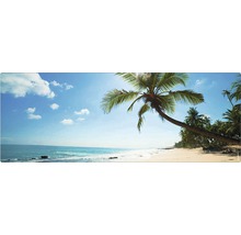 Plage tropicale avec des palmiers sous un ciel bleu