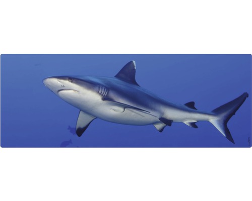 Paroi arrière de salle de bains mySPOTTI aqua Hai 120x45 cm Un requin nage dans l''océan.