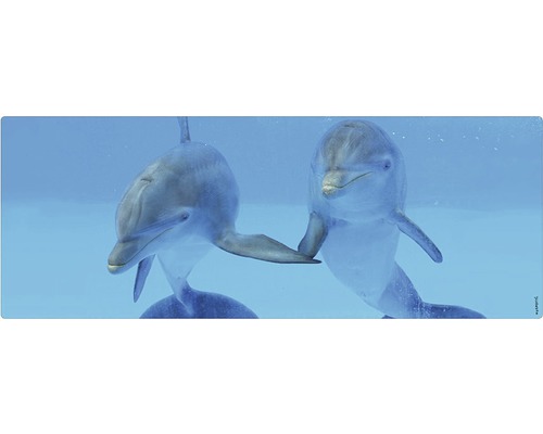 Badrückwand mySPOTTI aqua Delphin 120x45 cm