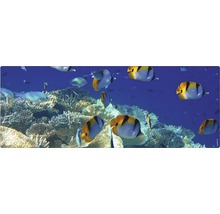 Motif décoratif avec poissons et récif corallien pour l''intérieur