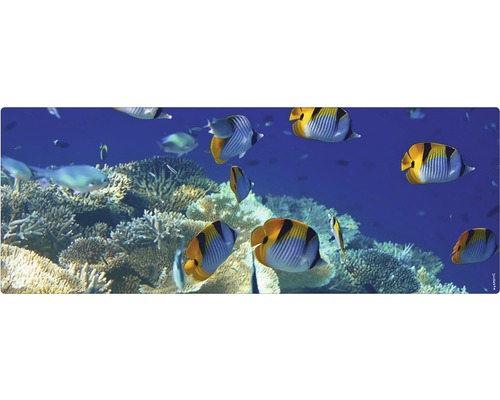 Paroi arrière de salle de bains mySPOTTI aqua Immersion 120x45 cm Motif décoratif avec poissons et récif corallien pour l''intérieur